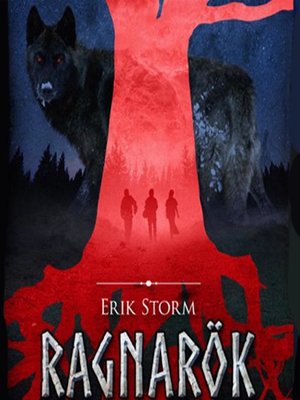 cover image of Erik Storm